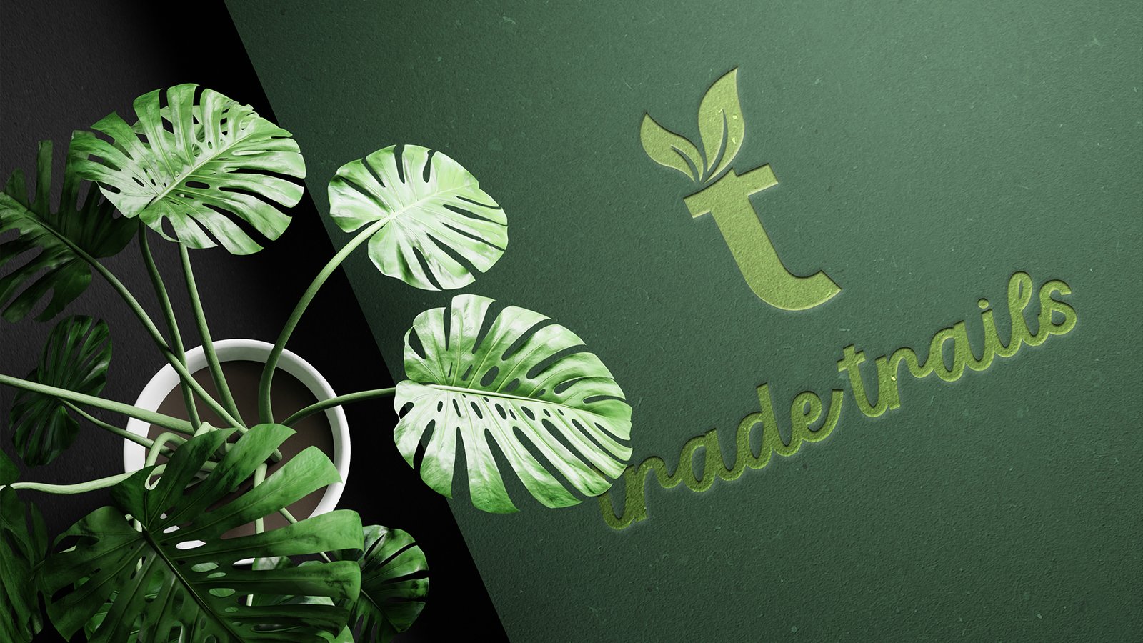 Trade Trails